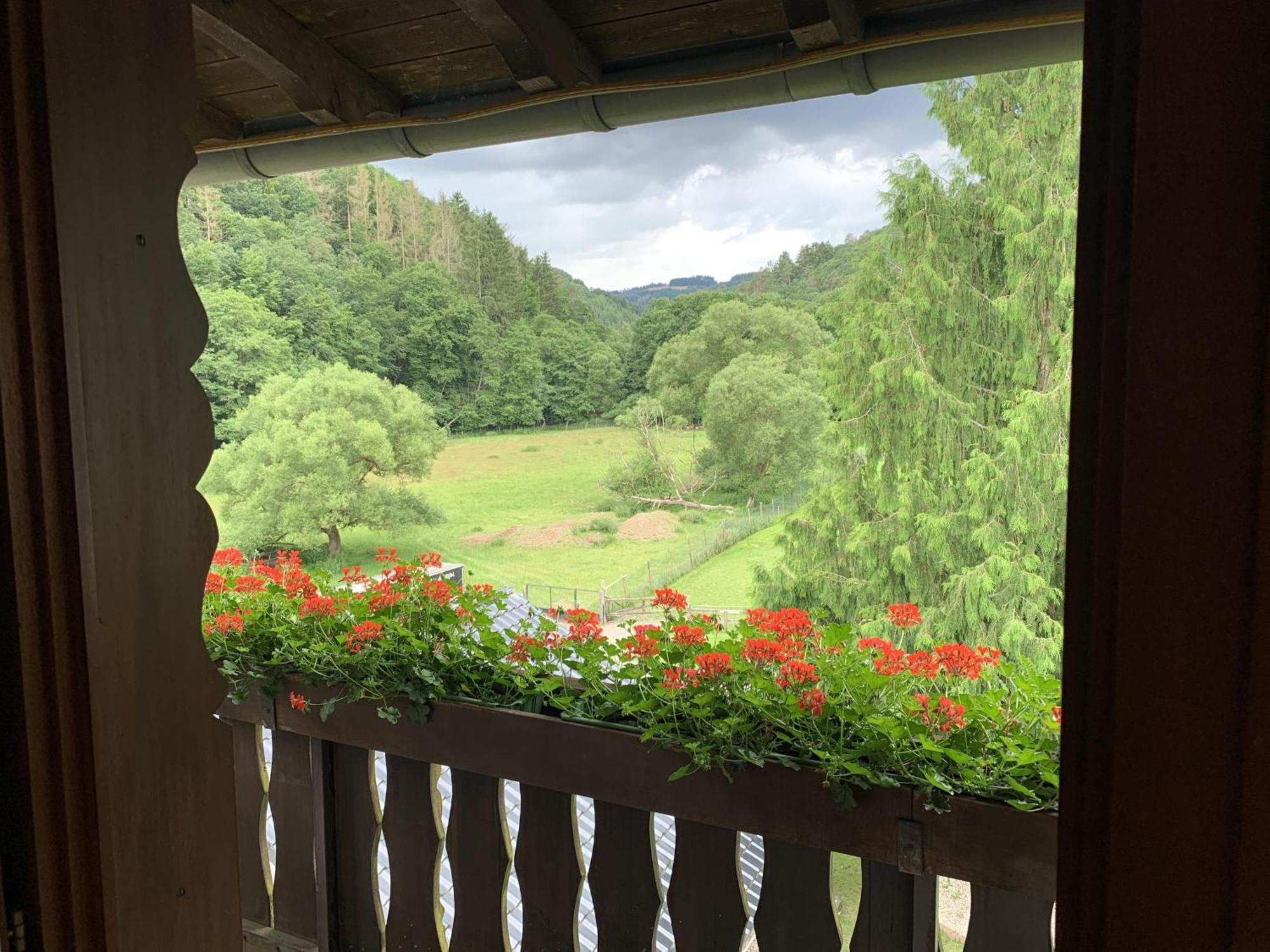 Hotel Forsthaus Volkesfeld Δωμάτιο φωτογραφία